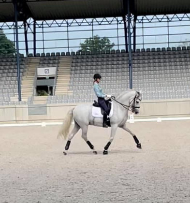 Dressage Coaching